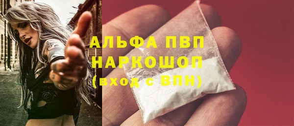 PSILOCYBIN Балахна