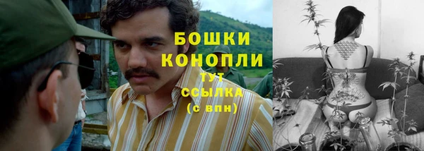 мескалин Козловка