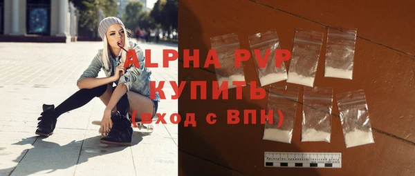 винт Щигры