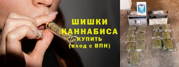 индика Новокубанск