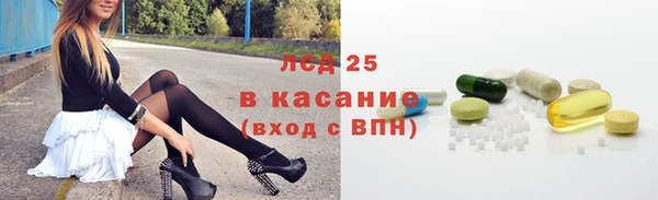 винт Щигры