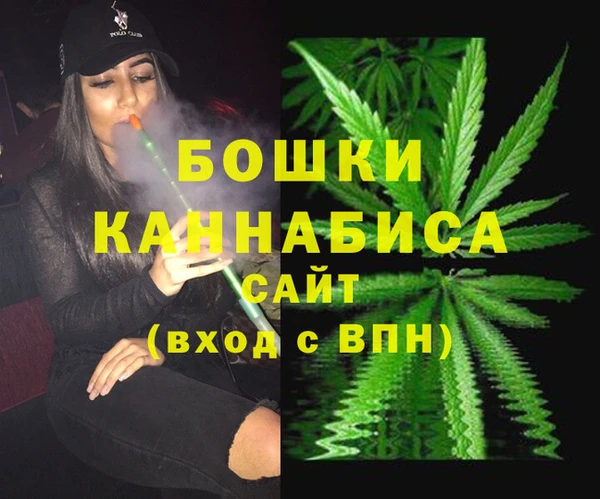 стаф Козельск
