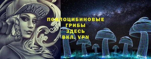 бошки Щёлкино