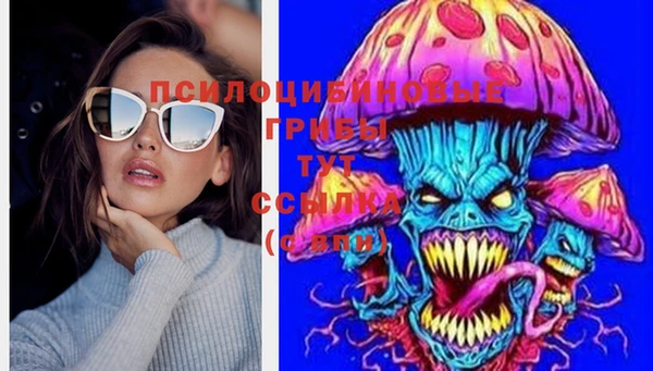 кокаин Щучье