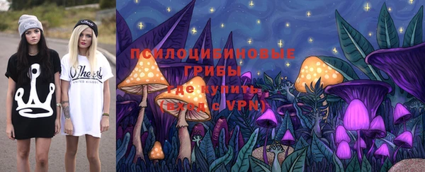 винт Щигры