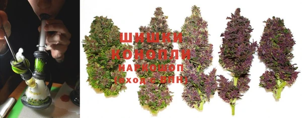 винт Щигры