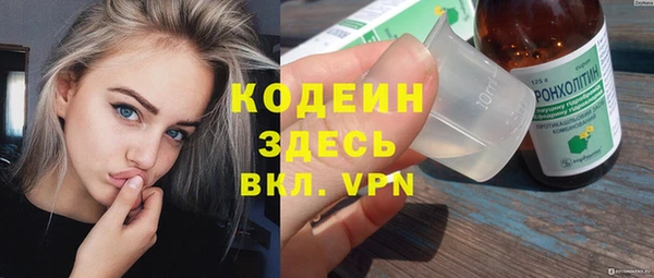винт Щигры