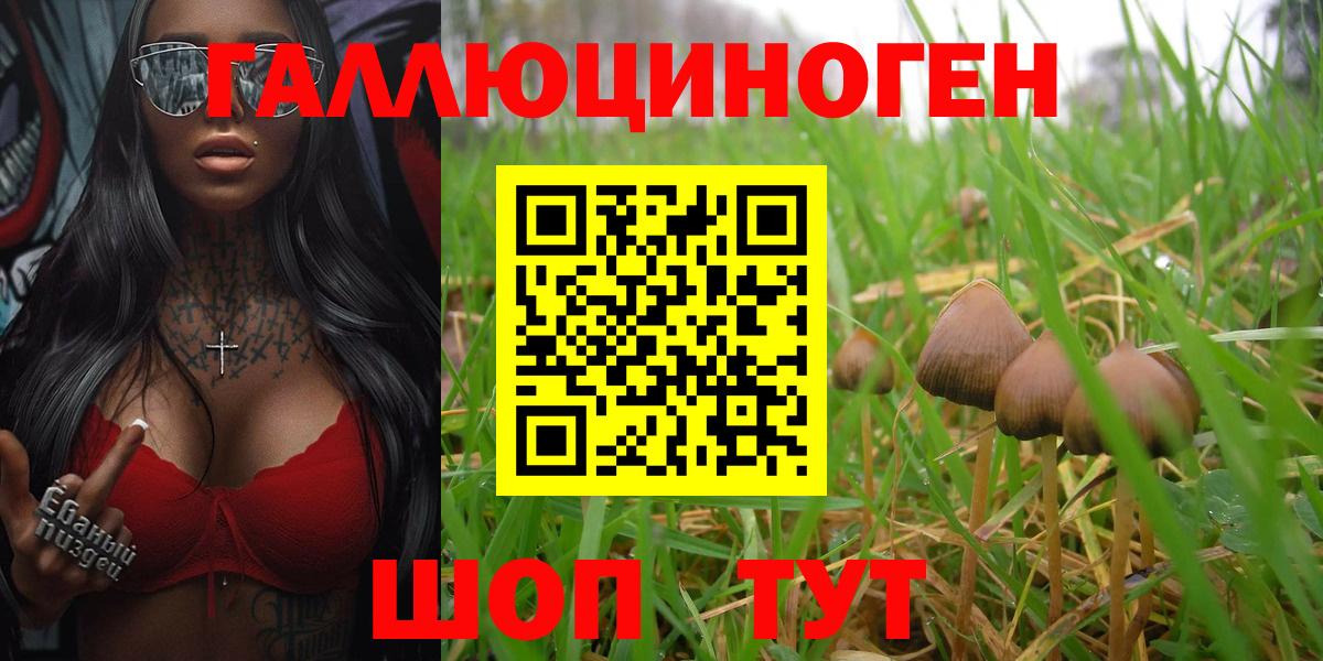 Псилоцибиновые грибы Psilocybe  Красногорск 