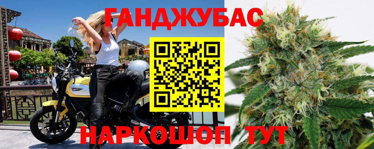 Конопля план  Канабис White Widow  Конопля сатива  Красногорск 