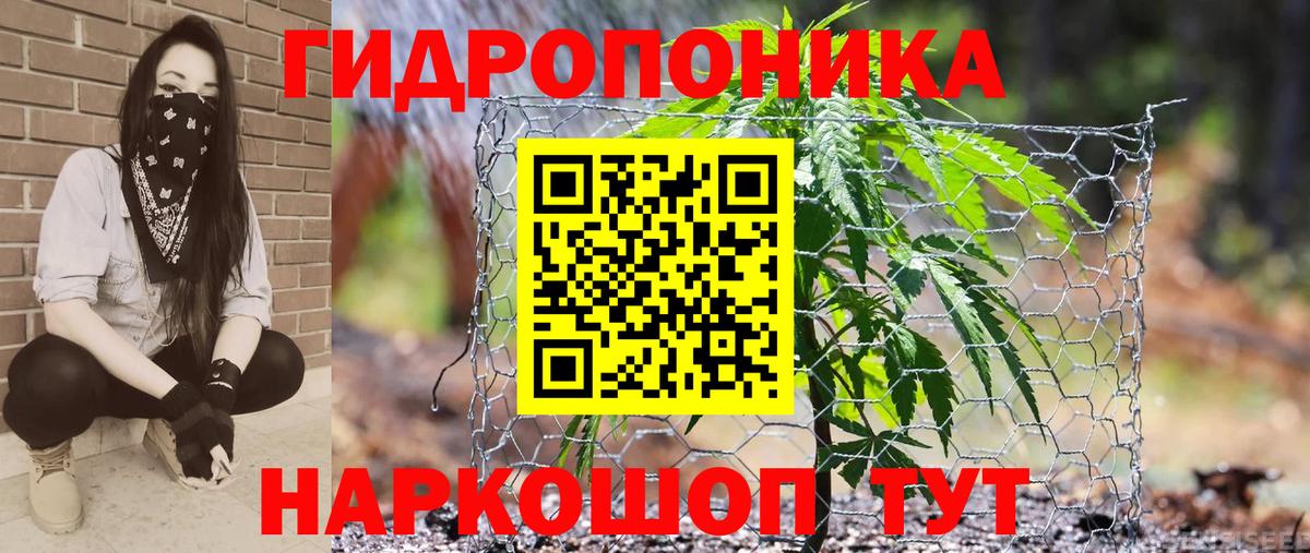 Канабис Bruce Banner  Бошки Шишки THC 21%  Шишки марихуана конопля  Вход с VPN  Красногорск 